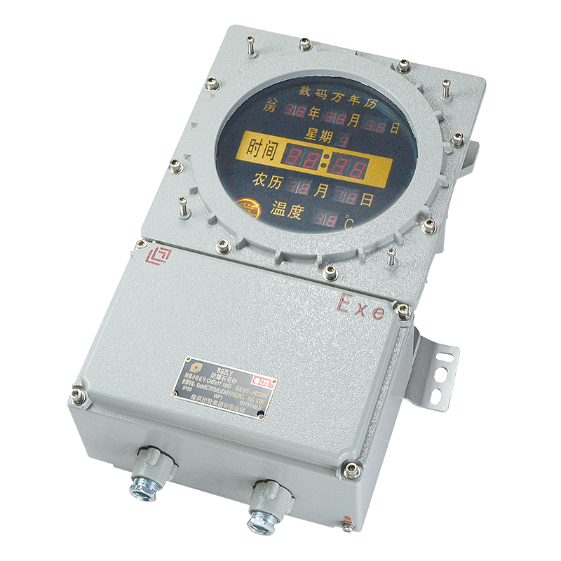 BSZLY系列 防爆石英鐘(ⅡC、ⅢC)